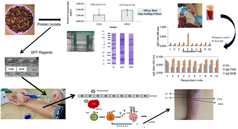 Graphical Abstract